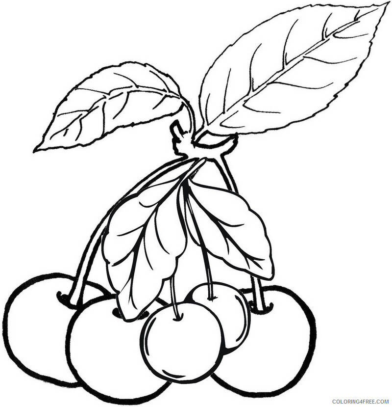 Cherry Coloring Pages Fruits Food Cherries Fruit Printable 2021 161 Coloring4free