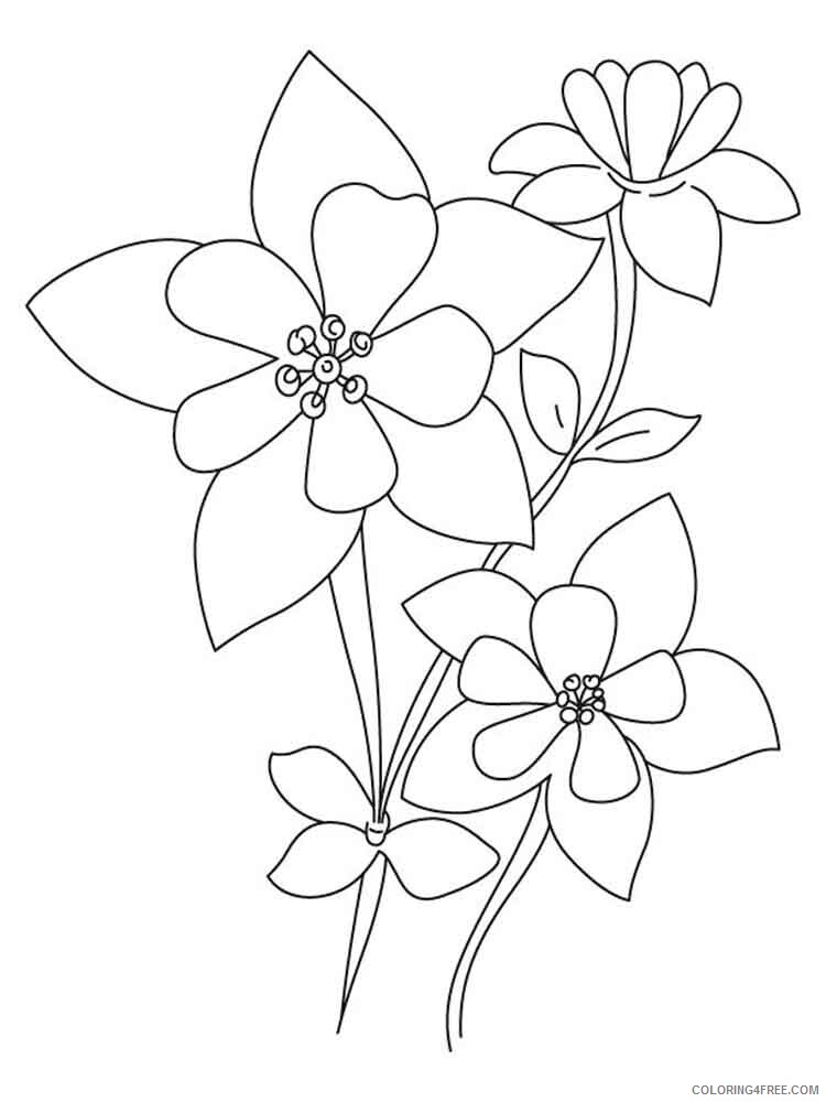 Columbine Coloring Pages Flowers Nature Columbine flower 10 Printable 2021 085 Coloring4free