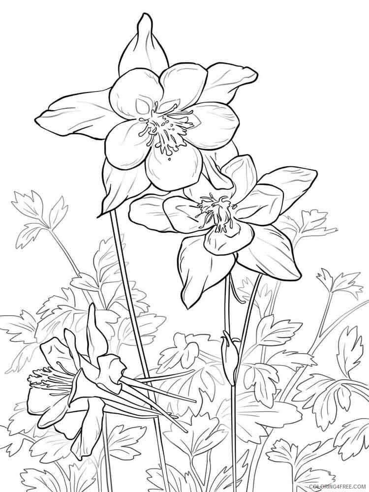 Columbine Coloring Pages Flowers Nature Columbine flower 9 Printable 2021 087 Coloring4free