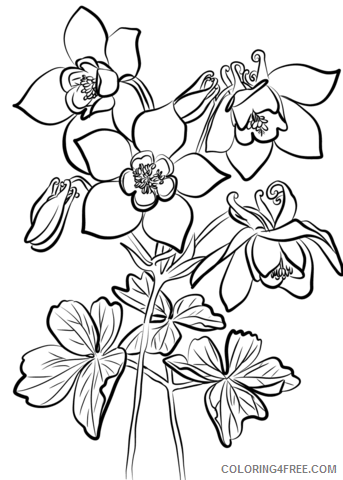 Columbine Coloring Pages Flowers Nature fan Printable 2021 084 Coloring4free