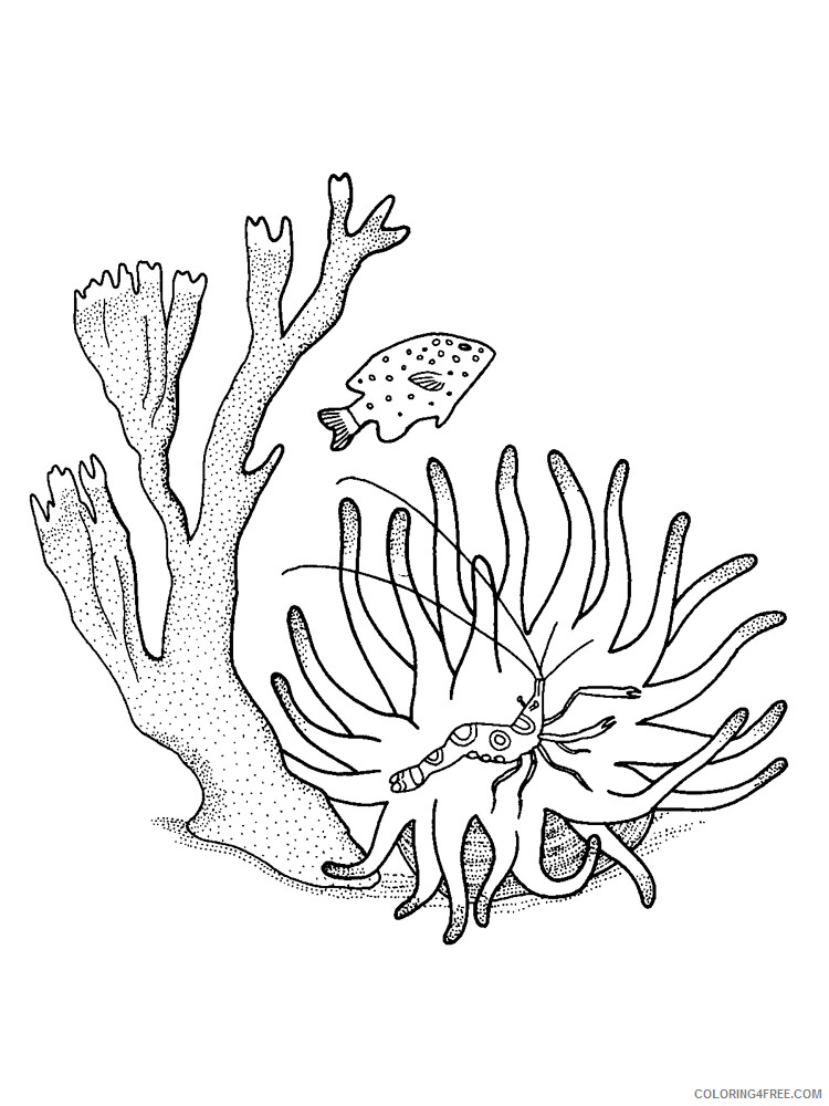 Coral Coloring Pages Nature Coral 8 Printable 2021 111 Coloring4free