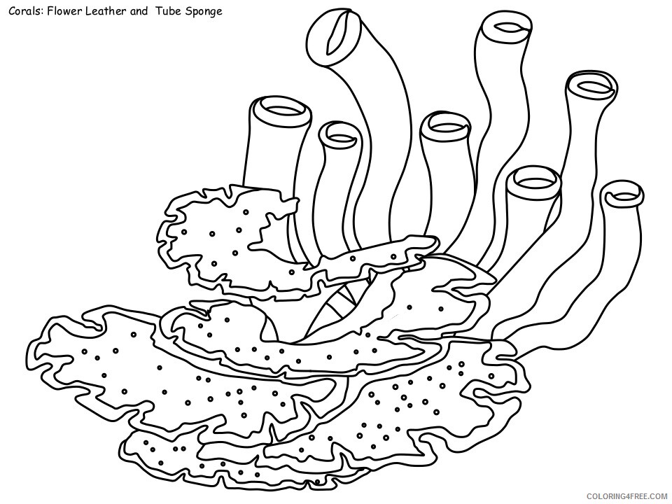 Coral Coloring Pages Nature coral1 Printable 2021 106 Coloring4free
