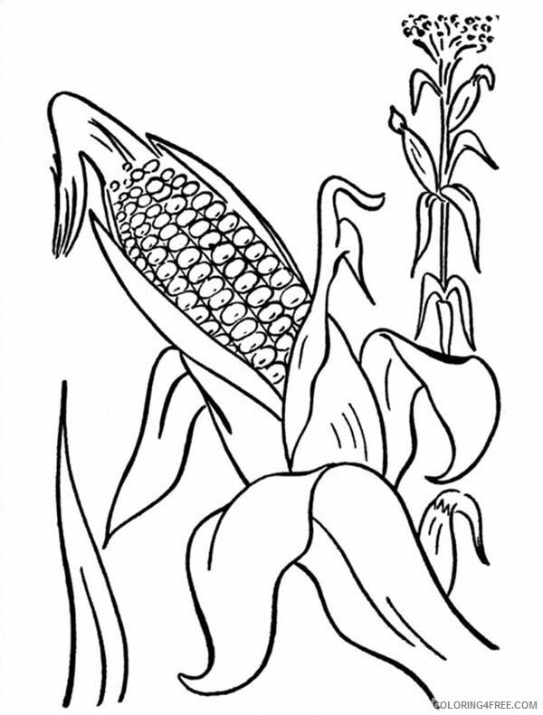 Corn Coloring Pages Vegetables Food Corn Cob from Mature Plant Printable 2021 563 Coloring4free