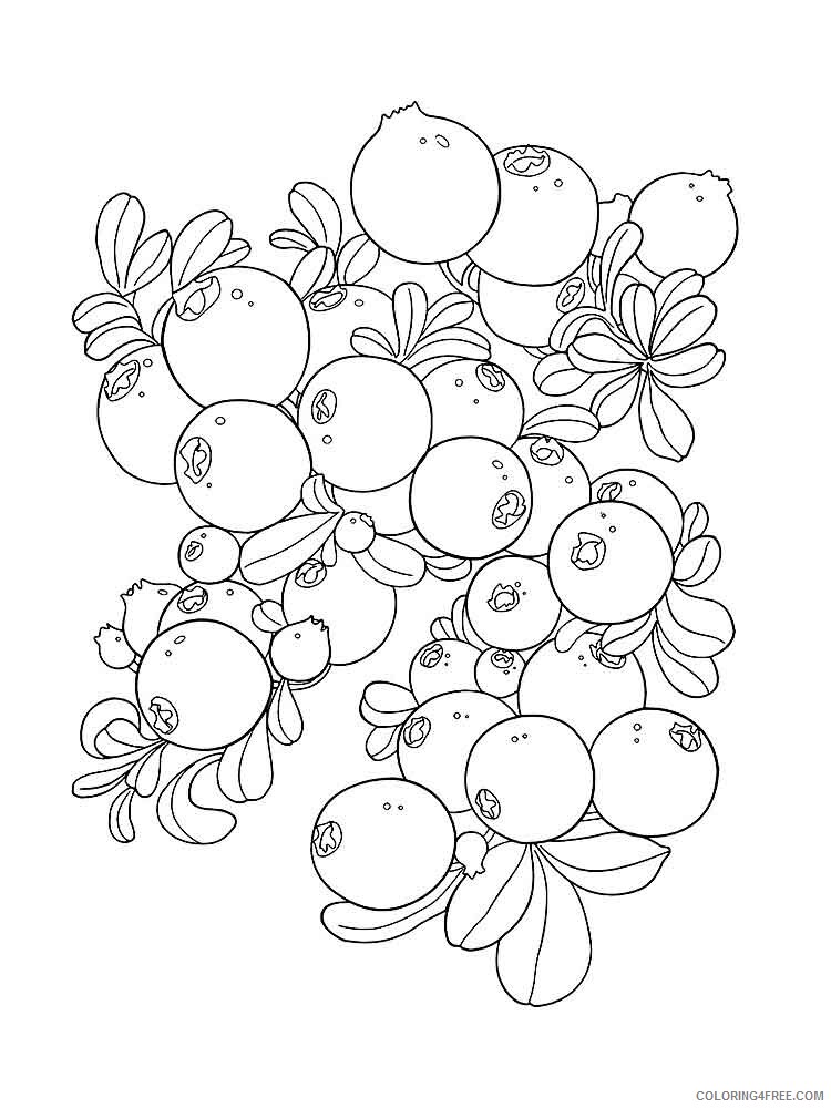 Cowberry Coloring Pages Berries Fruits Cowberry berries 6 Printable 2021 113 Coloring4free