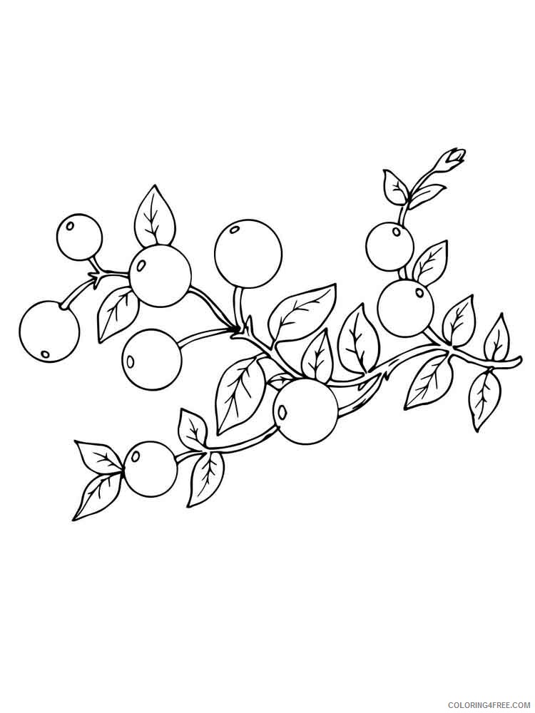 Cranberry Coloring Pages Berries Fruits Cranberry berries 2 Printable 2021 114 Coloring4free