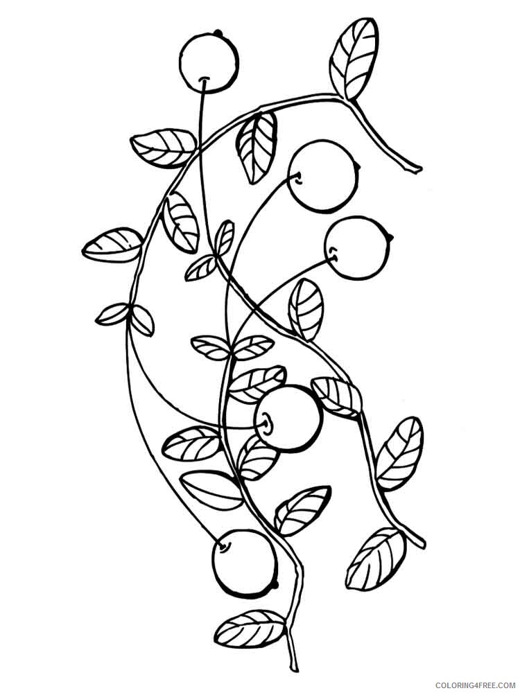 Cranberry Coloring Pages Berries Fruits Cranberry berries 4 Printable 2021 116 Coloring4free
