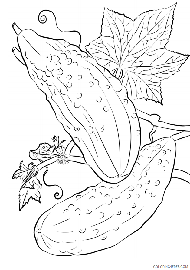 Cucumber Coloring Pages Vegetables Food 2 cucumbers a4 Printable 2021 576 Coloring4free