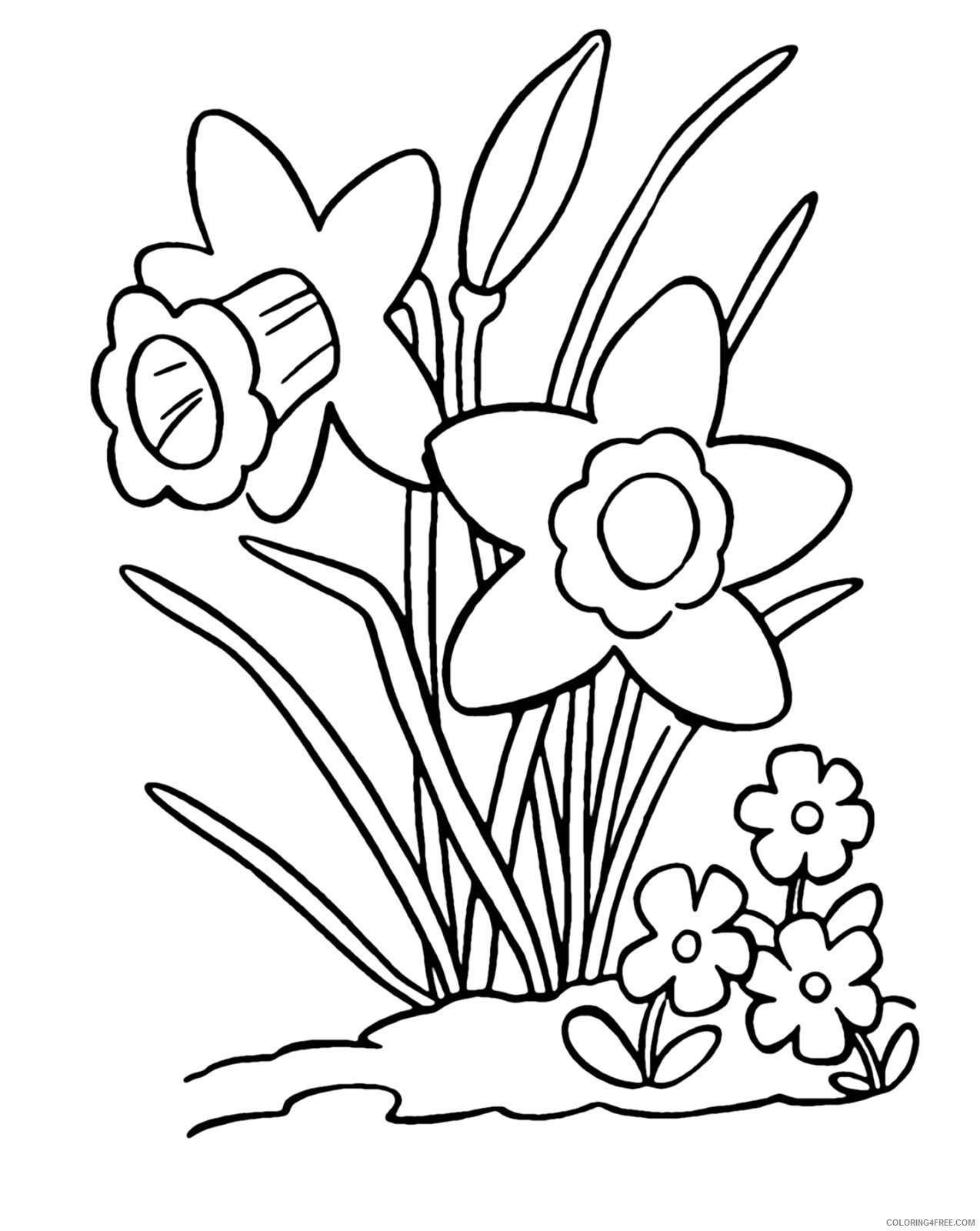 Daffodil Coloring Pages Flowers Nature Daffodils Printable 2021 102 Coloring4free