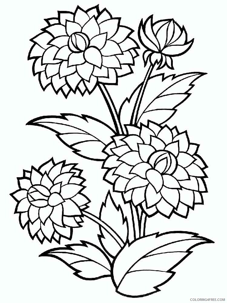 Dahlia Coloring Pages Flowers Nature Dahlia flower 2 Printable 2021 108 Coloring4free