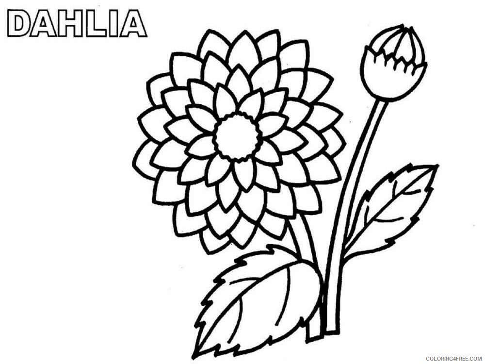 Dahlia Coloring Pages Flowers Nature Dahlia flower 3 Printable 2021 109 Coloring4free