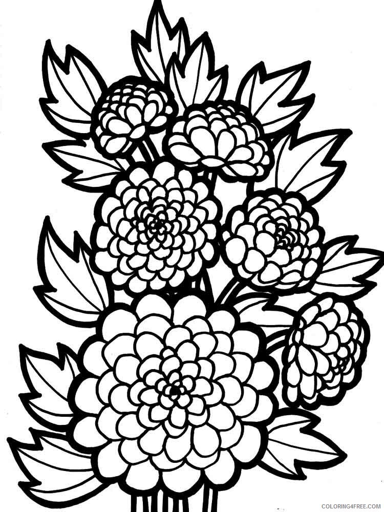Dahlia Coloring Pages Flowers Nature Dahlia flower 7 Printable 2021 110 Coloring4free