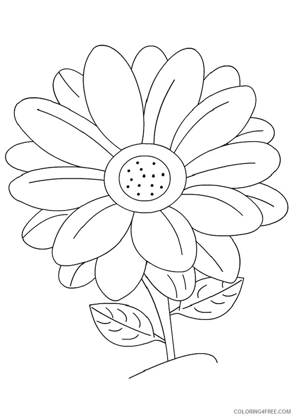 Daisy Coloring Pages Flowers Nature 1528164907_the daisy a4 Printable 2021 112 Coloring4free