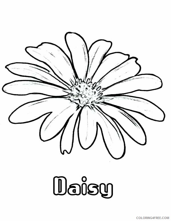 Daisy Coloring Pages Flowers Nature Daisy Printable 2021 113 Coloring4free