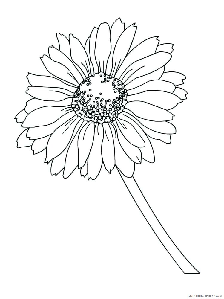 Daisy Coloring Pages Flowers Nature Daisy Printable 2021 114 Coloring4free