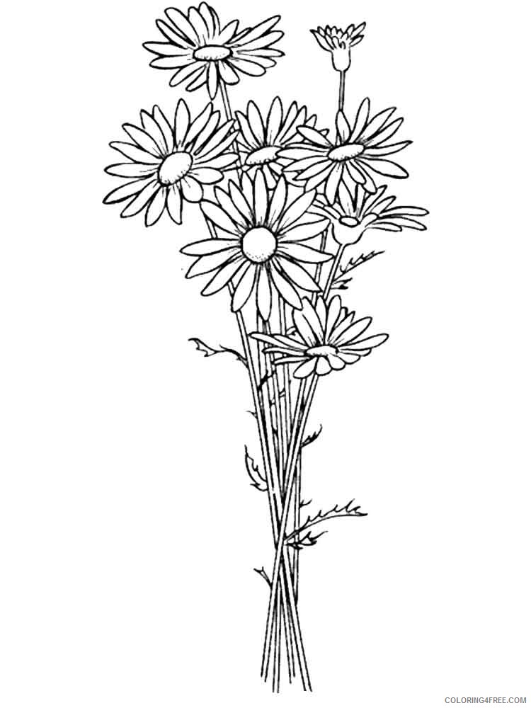 Daisy Coloring Pages Flowers Nature Daisy flower 3 Printable 2021 115 Coloring4free