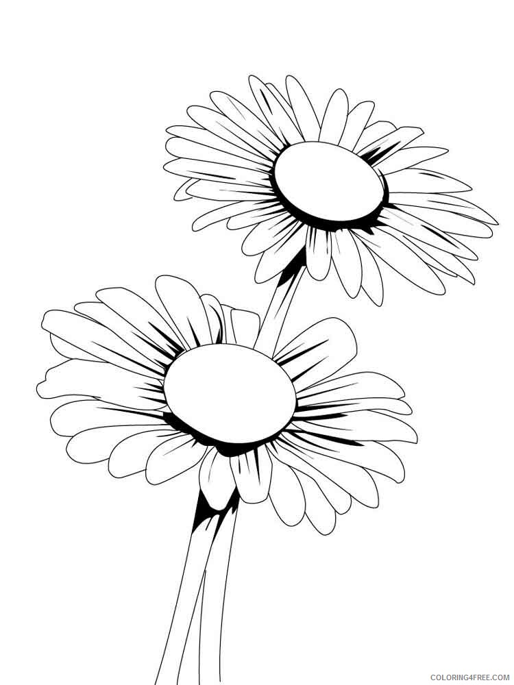 Download Daisy Coloring Pages Flowers Nature Daisy Flower 4 Printable 2021 116 Coloring4free Coloring4free Com