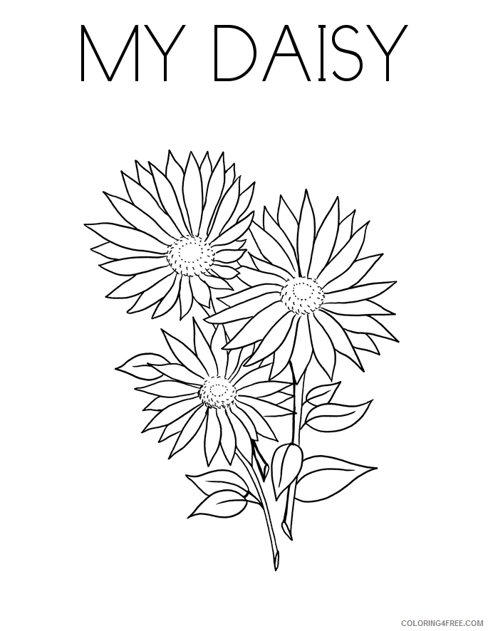 Daisy Coloring Pages Flowers Nature My Daisy Printable 2021 125 Coloring4free