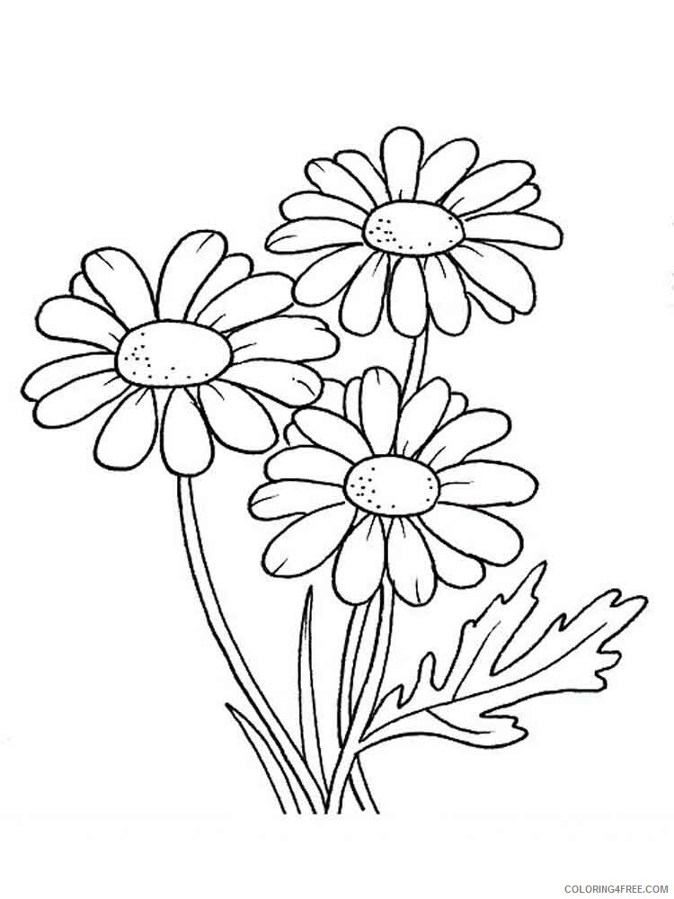Daisy Coloring Pages Flowers Nature Three Daisy Flowers Flower Printable 2021 128 Coloring4free