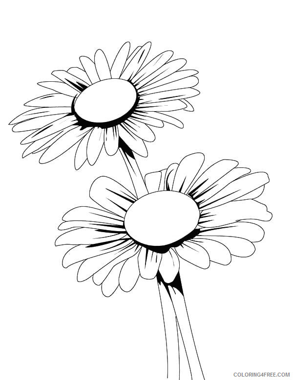 Daisy Coloring Pages Flowers Nature Two Daisy Flowers Flower Printable 2021 129 Coloring4free
