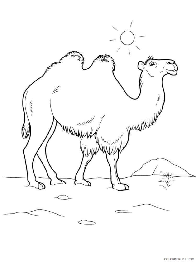 Desert Coloring Pages Nature Desert 7 Printable 2021 130 Coloring4free