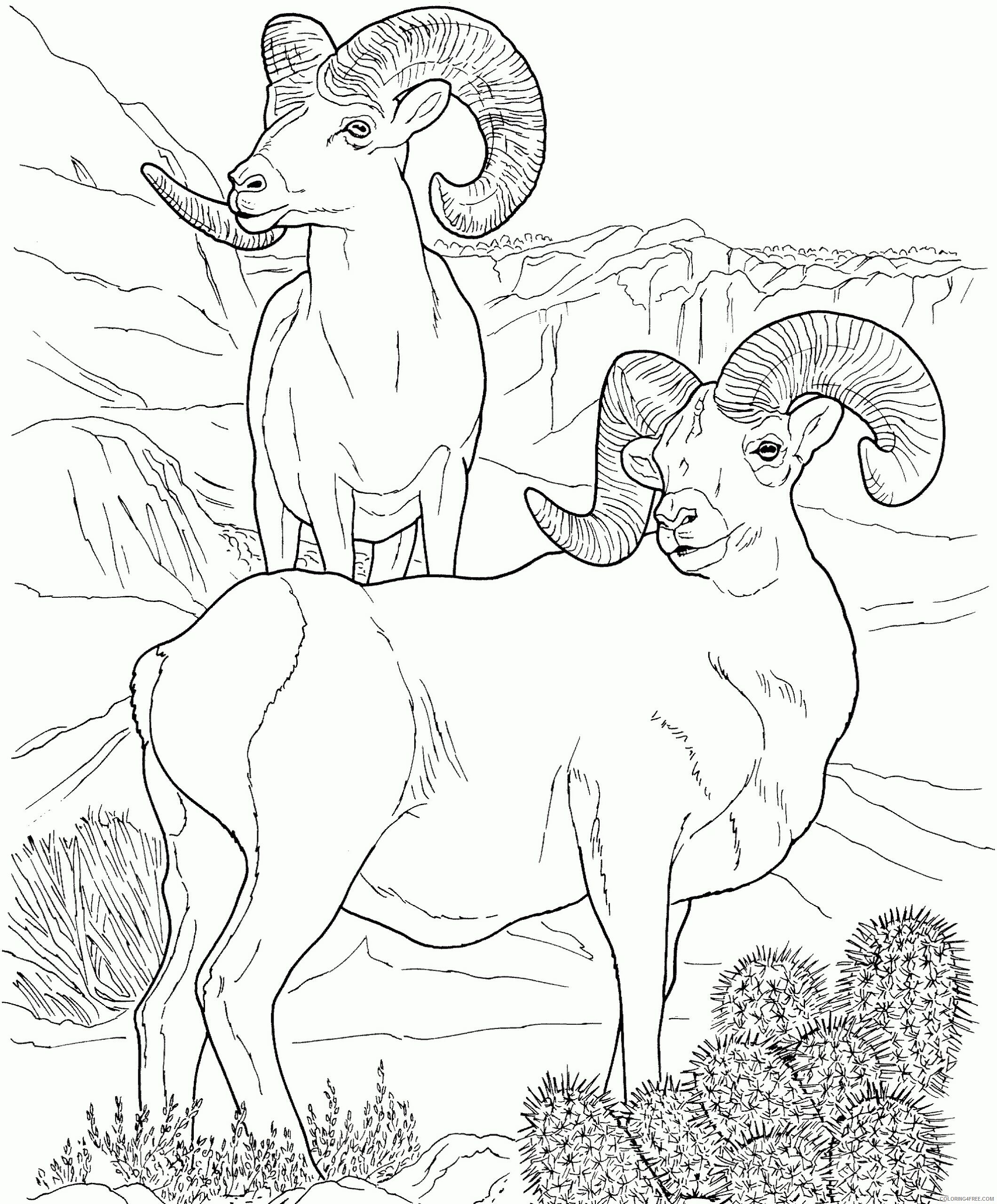 Desert Coloring Pages Nature Desert Ram Printable 2021 132 Coloring4free