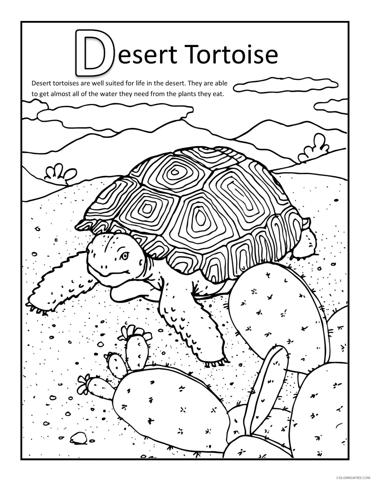 Desert Coloring Pages Nature Desert Tortise Printable 2021 135 Coloring4free