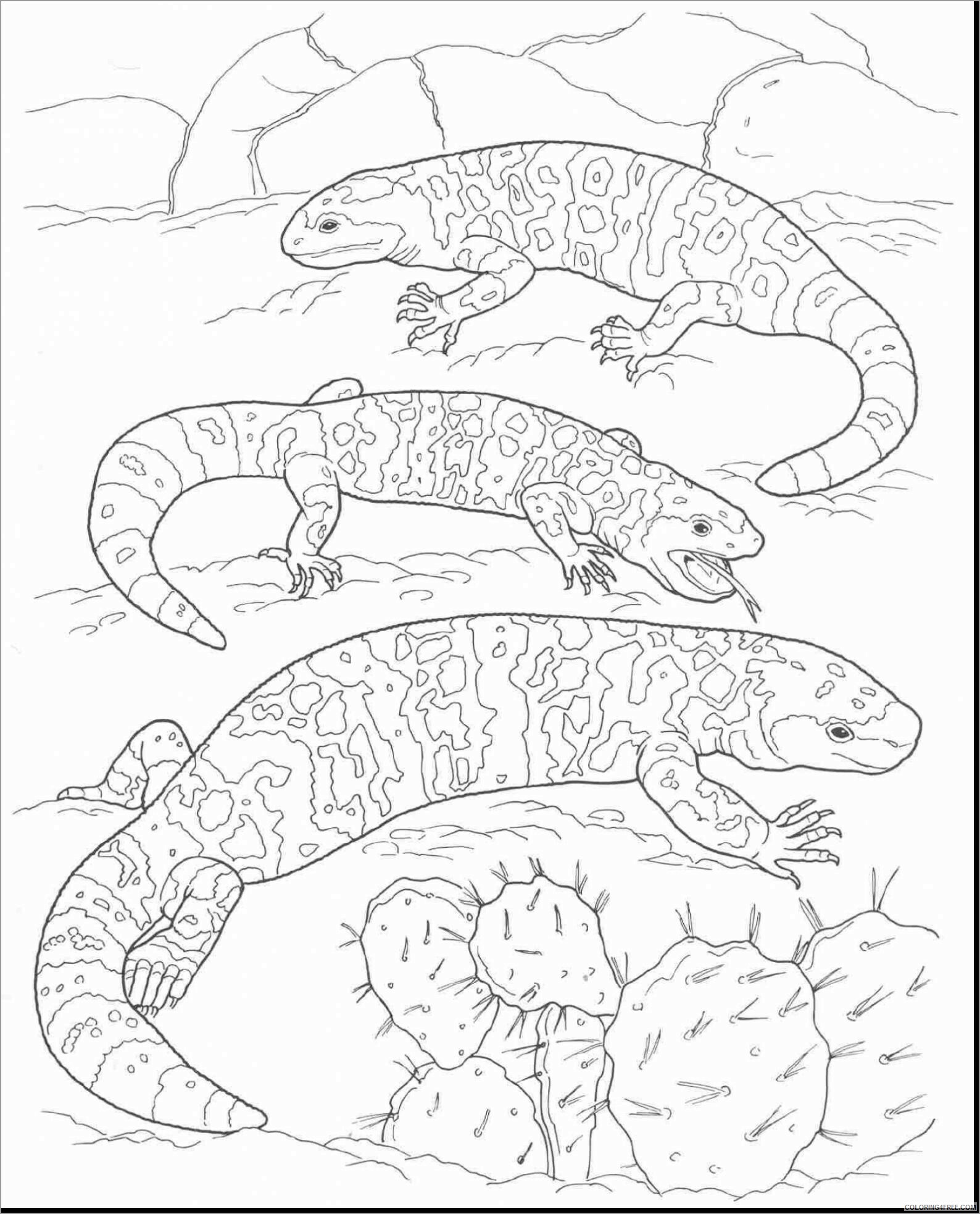 Desert Coloring Pages Nature desert animals Printable 2021 117 Coloring4free