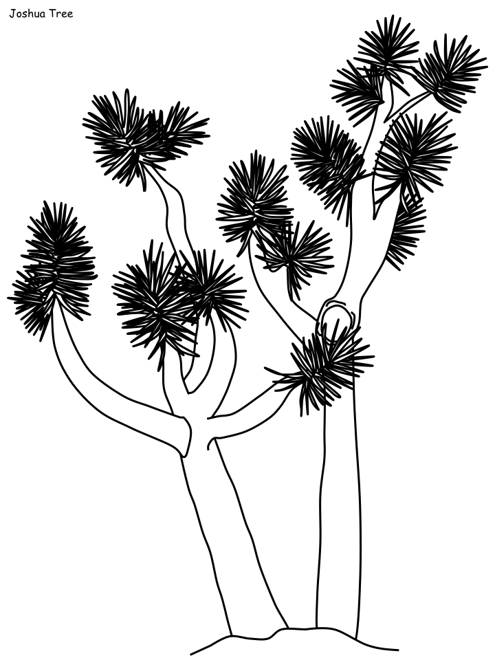 Desert Coloring Pages Nature joshua tree Printable 2021 139 Coloring4free