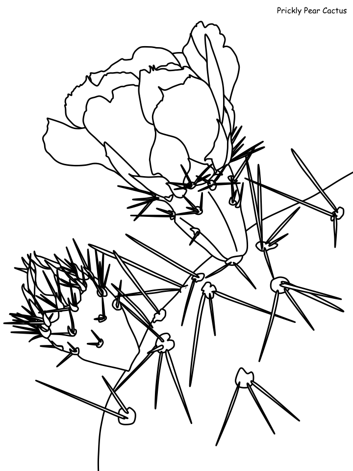 Desert Coloring Pages Nature prickly pear Printable 2021 142 Coloring4free