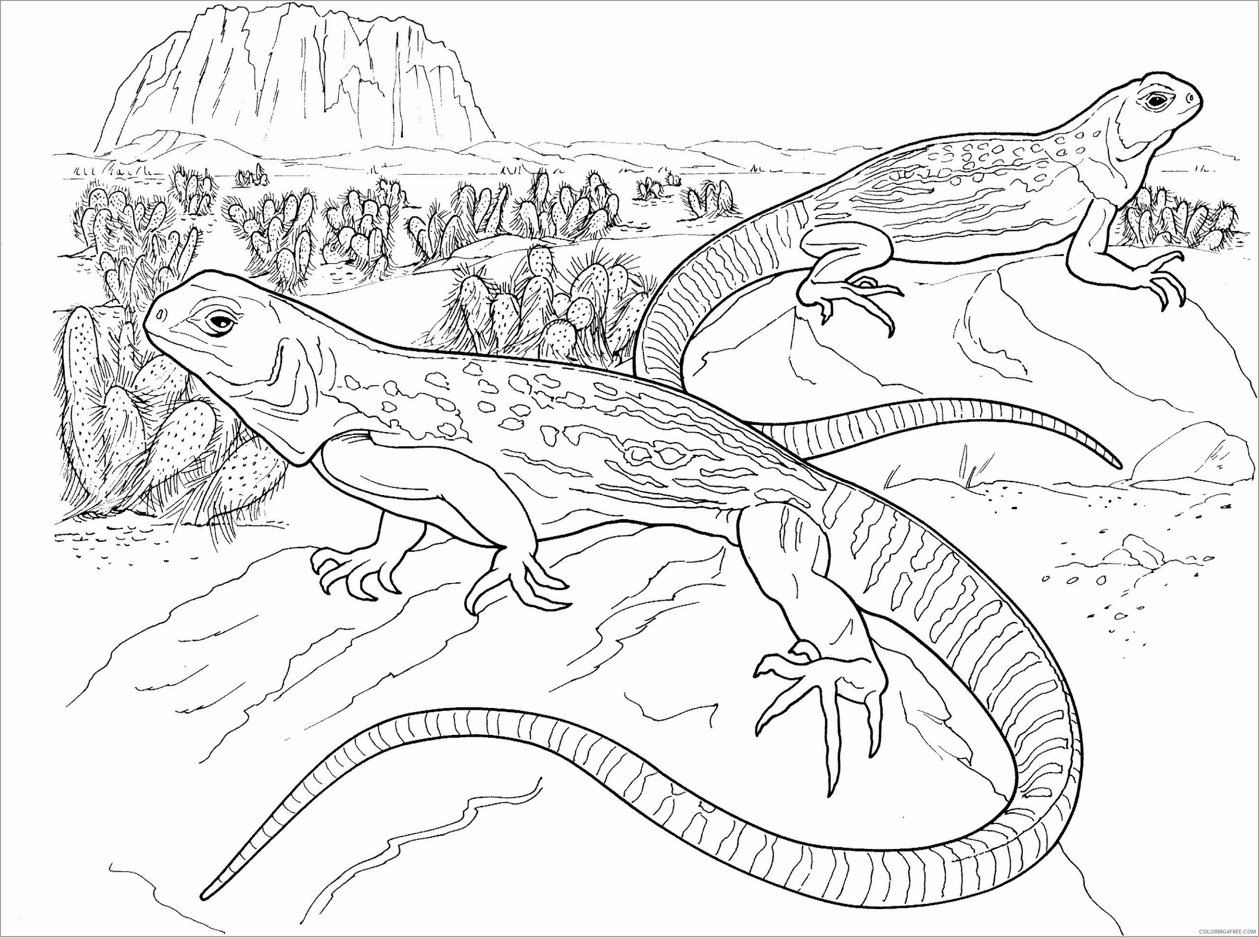 Desert Coloring Pages Nature realistic desert lizard Printable 2021 144 Coloring4free