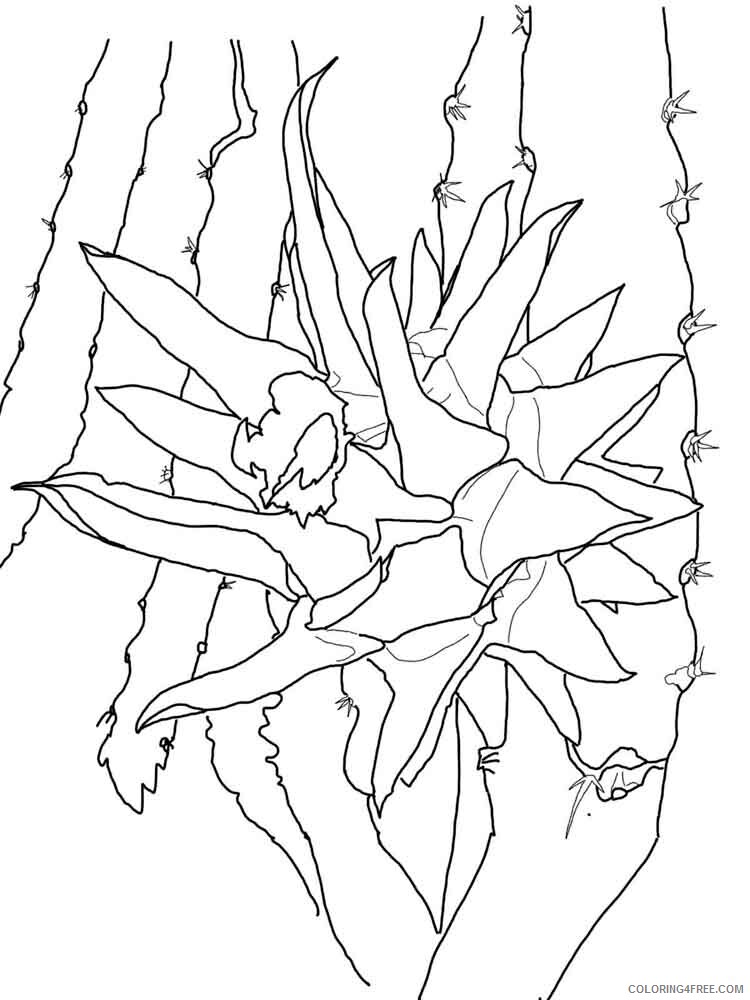 Dragon Fruit Coloring Pages Fruits Food Dragon fruits 5 Printable 2021 177 Coloring4free