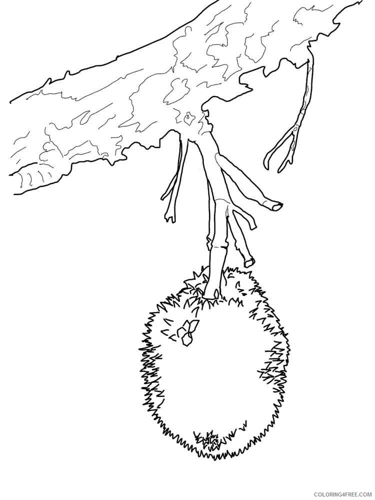 Durian Coloring Pages Fruits Food Durian fruits 9 Printable 2021 185 Coloring4free