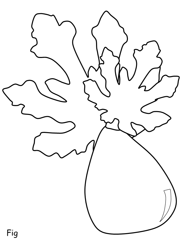 Figs Coloring Pages Fruits Food fig Printable 2021 186 Coloring4free