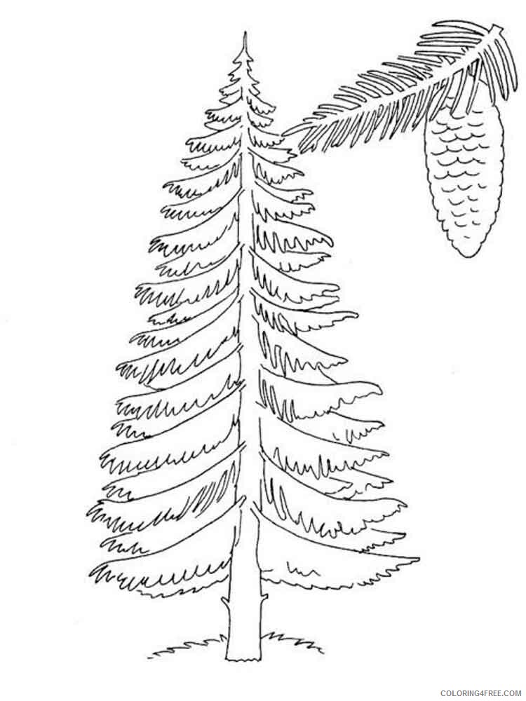 Fir Tree Coloring Pages Tree Nature fir tree 4 Printable 2021 555 Coloring4free