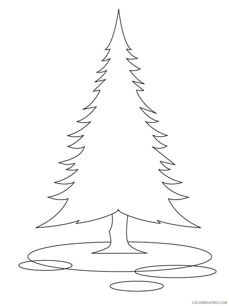 Fir Tree Coloring Pages Tree Nature fir tree 5 Printable 2021 556 Coloring4free