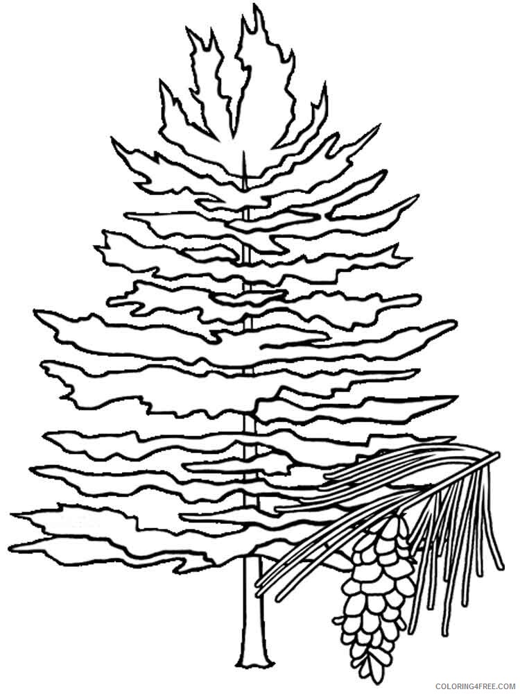 Fir Tree Coloring Pages Tree Nature fir tree 6 Printable 2021 557 Coloring4free
