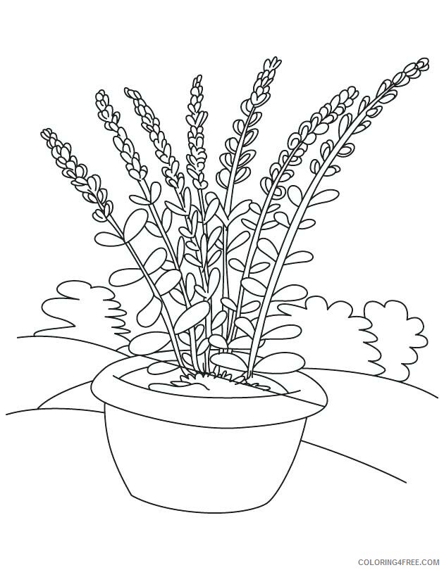 Flower Pot Coloring Pages Flowers Nature Flower Pot Free Printable 2021 153 Coloring4free