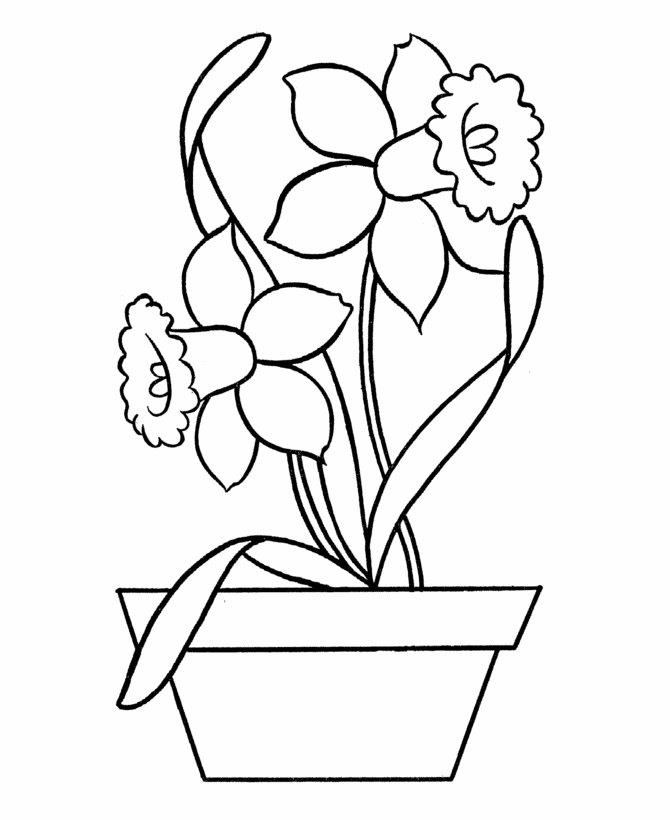 Flower Pot Coloring Pages Flowers Nature Potted Daffodils Printable 2021 157 Coloring4free