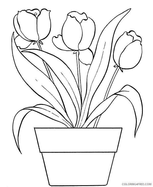 Flower Pot Coloring Pages Flowers Nature Tulips in Flower Pot Printable 2021 160 Coloring4free