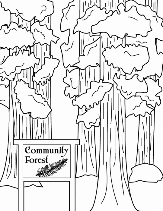 Forest Coloring Pages Nature Community Forest Printable 2021 191 Coloring4free