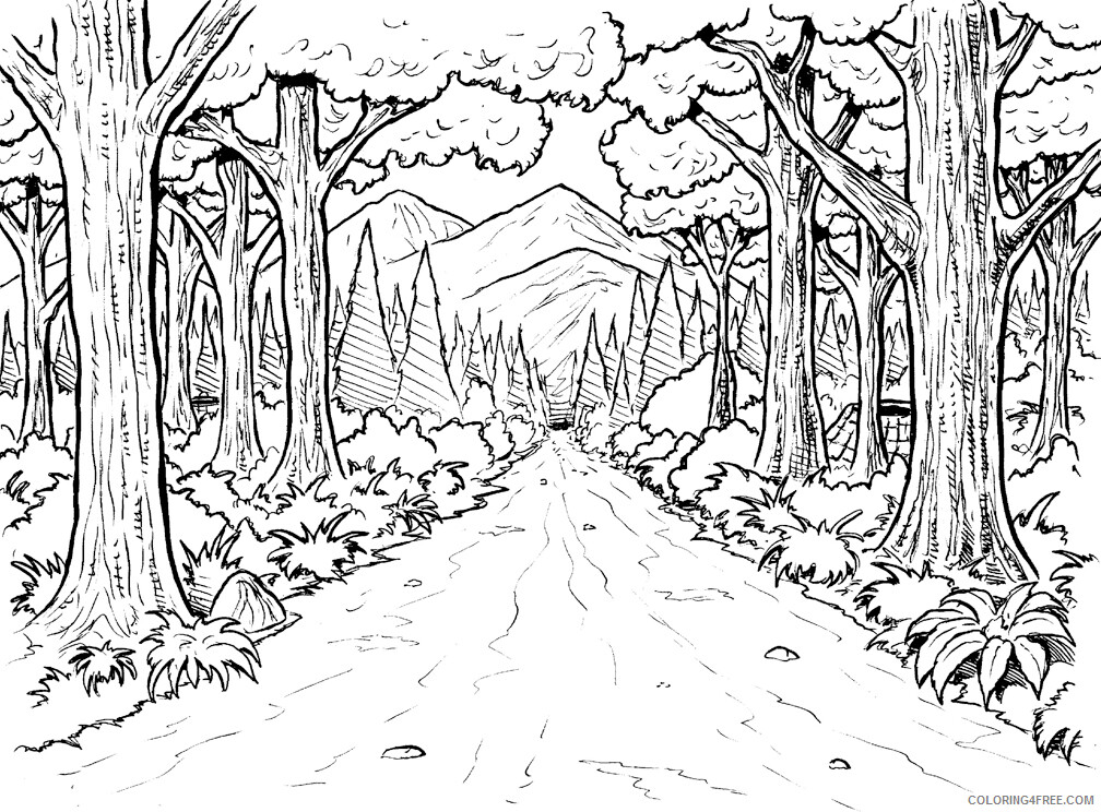 Forest Coloring Pages Nature Forest Pathway Scene Printable 2021 202 Coloring4free