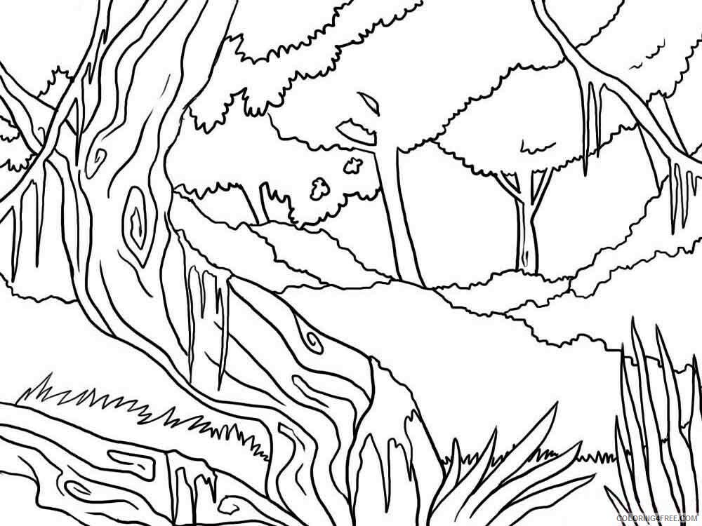 Forest Coloring Pages Nature forest 11 Printable 2021 193 Coloring4free