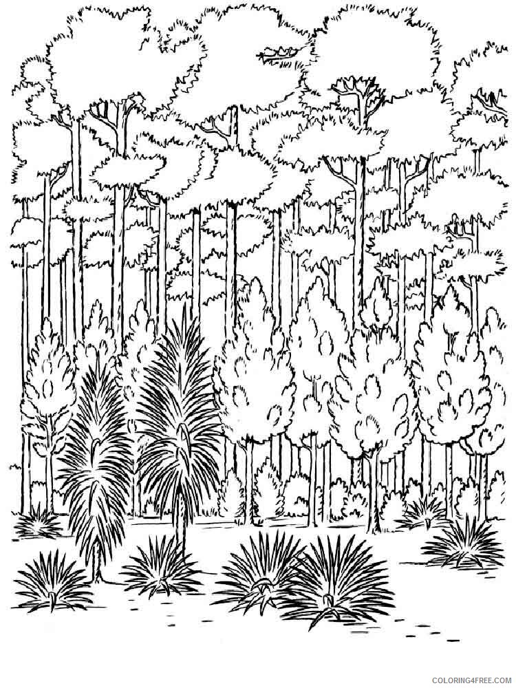 Forest Coloring Pages Nature forest 13 Printable 2021 195 Coloring4free