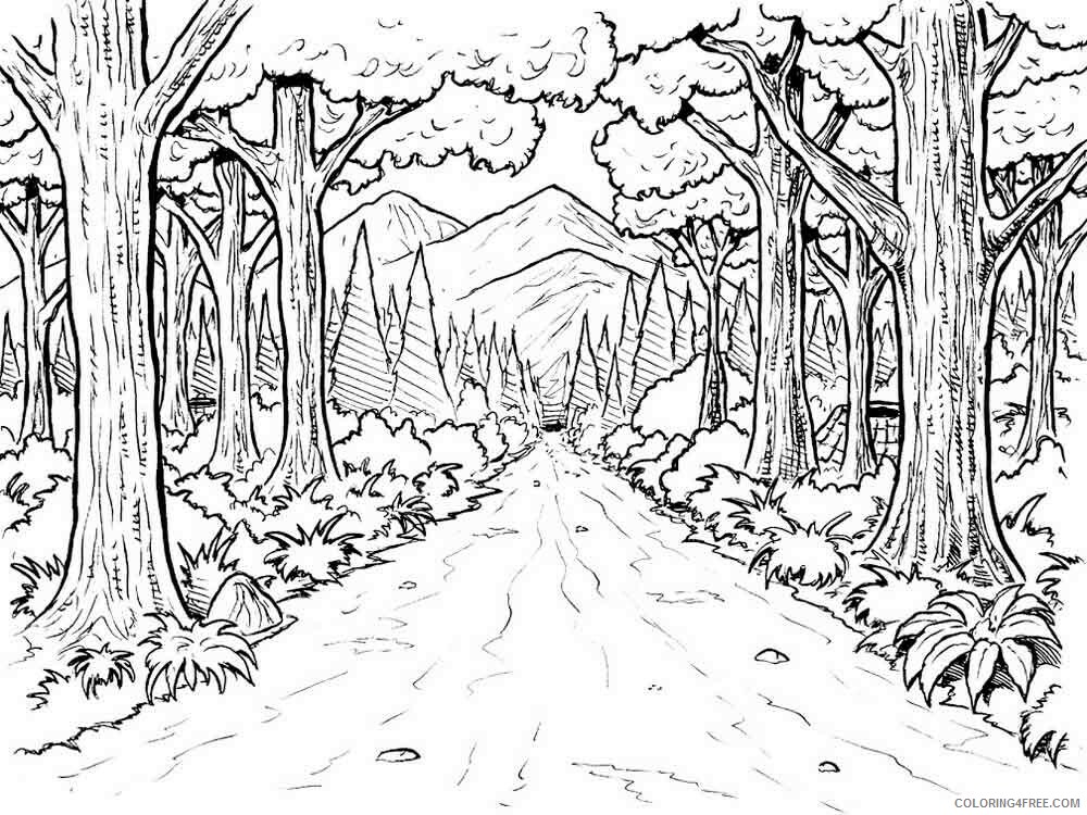 Forest Coloring Pages Nature forest 14 Printable 2021 196 Coloring4free