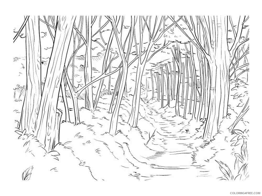 Forest Coloring Pages Nature forest 6 Printable 2021 201 Coloring4free