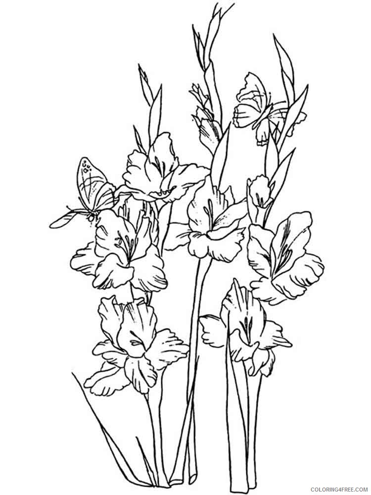 Gladiolus Coloring Pages Flowers Nature Gladiolus flower 5 Printable 2021 178 Coloring4free