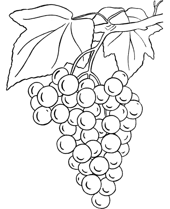 Grapes Coloring Pages Fruits Food Grapes Printable 2021 206 Coloring4free