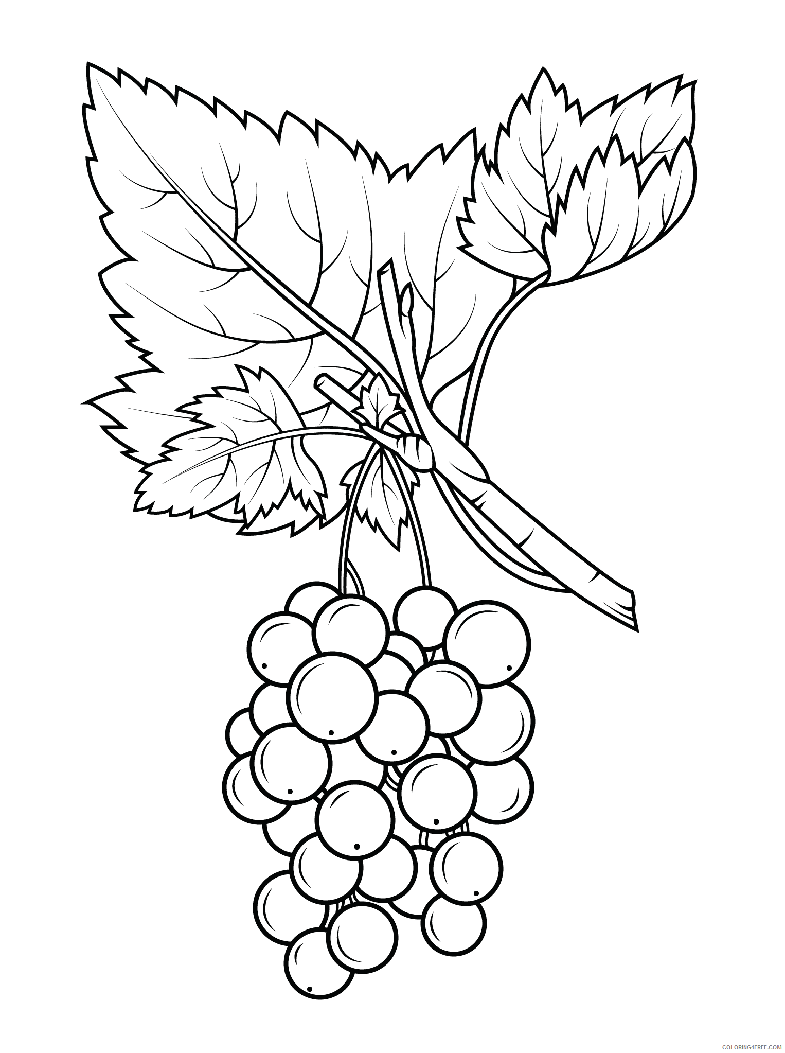 Grapes Coloring Pages Fruits Food Grapes Printable 2021 208 Coloring4free
