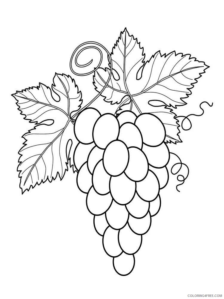 Grapes Coloring Pages Fruits Food Grapes fruits 1 Printable 2021 209 Coloring4free