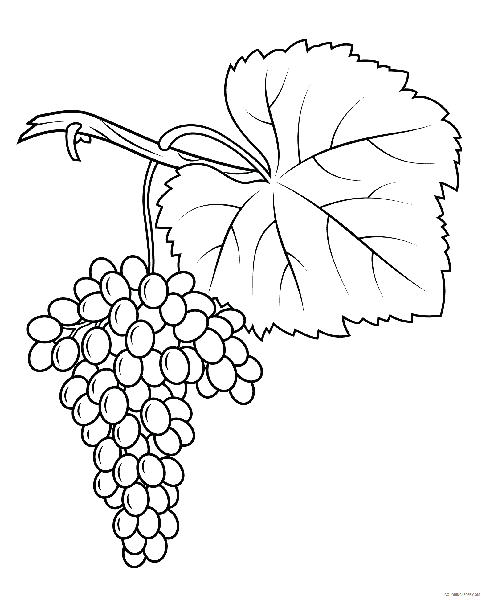 Grapes Coloring Pages Fruits Food Print Grapes Printable 2021 217 Coloring4free